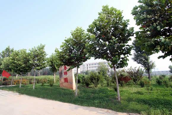 衡水科技工程學(xué)校怎么樣？是國(guó)辦院校嗎？就業(yè)有保障嗎？