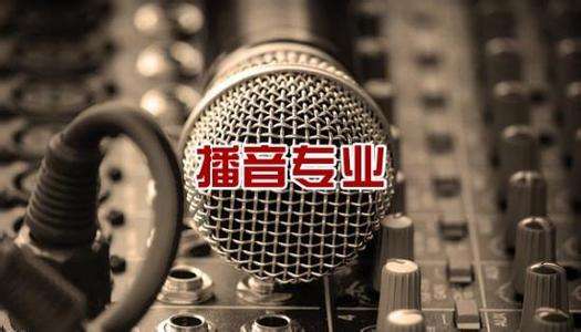 北京吉利學院華視傳媒學院有藝術相關專業(yè)嗎？